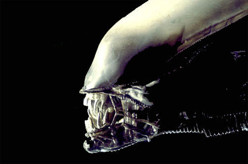 Gearbox confirma que Aliens Colonial Marines sigue en marcha